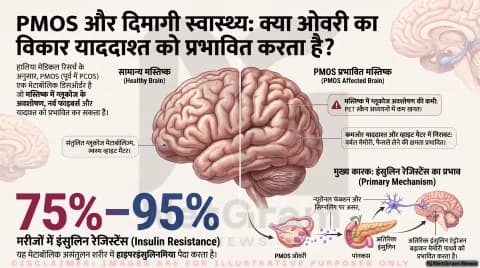 क्या PMOS का असर दिमाग पर भी होता है? वैज्ञानिकों ने ब्रेन मेटाबॉलिज्म और याददाश्त में पाए बड़े बदलाव