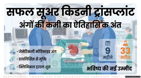 Genetically Engineered Organ Updates: युकाटन मिनिएचर पिग्स, इम्यून रिजेक्शन से बचाव और 33 मरीजों पर नए ट्रायल की रिपोर्ट