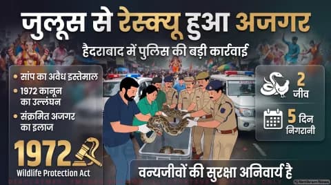 विशाखापत्तनम के डांस ट्रूप से अजगर और मुर्गी रेस्क्यू; जानिए कानूनी धाराएं और सजा के प्रावधान: Animal Cruelty Case Updates