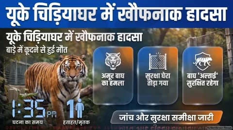 अमूर टाइगर के बाड़े में कूदे शख्स की मौके पर मौत; जानिए सुरक्षा जांच और पार्क की स्थिति: UK Wildlife Park Incident