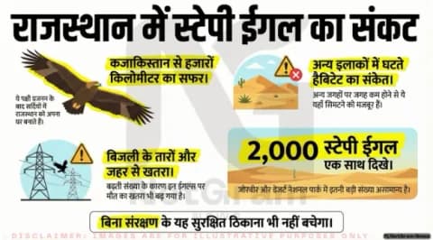 “अच्छी खबर नहीं,” वैज्ञानिकों की चेतावनी—राजस्थान में 2,000 स्टेपी ईगल एक साथ दिखे