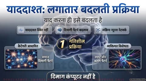 Human Memory Dynamics Alert: यादें स्थिर नहीं, हर बार रीकॉल करने पर होती हैं री-शेप; तुरंत पढ़ें न्यूरोसाइंस रिपोर्ट