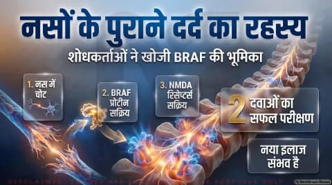 Neuropathic Pain Research Alert: नस की चोट के बाद बने रहने वाले दर्द की वजह आई सामने; तुरंत पढ़ें BRAF प्रोटीन पर नई स्टडी