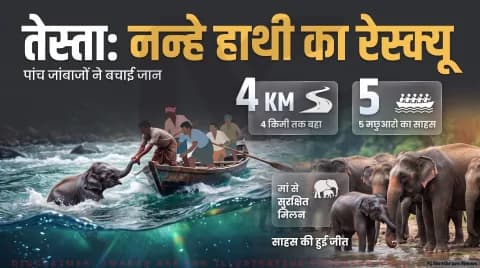 जलपाईगुड़ी में उफनती तेस्ता नदी से हाथी का बच्चा सुरक्षित निकाला; 5 मछुआरों ने पेश की मिसाल : Wildlife Rescue Alert 2026