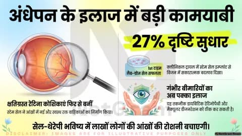 स्टेम सेल से रेटिना की रक्त वाहिकाएं दोबारा बनाने में सफलता, अंधेपन के इलाज की दिशा में नई उम्मीद