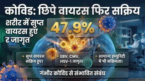 Covid-19 Viral Reactivation Alert: 1,154 मरीजों पर स्टडी; तुरंत पढ़ें हर्पीस और ईबीवी वायरस के दोबारा सक्रिय होने का सच